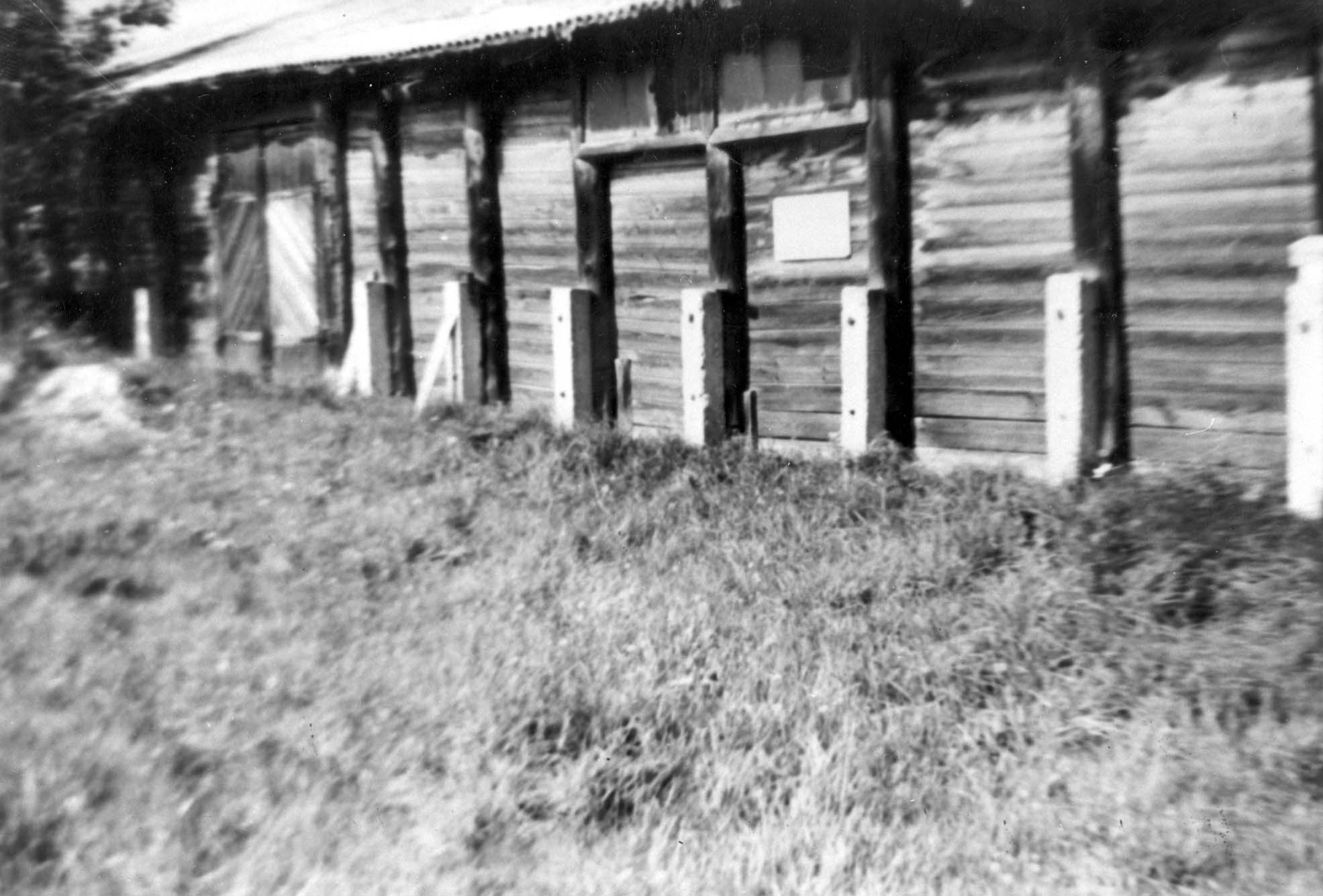 Wooden structure at the Vidukle train station
